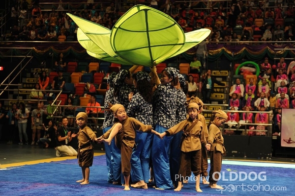 Gymnastics (335)