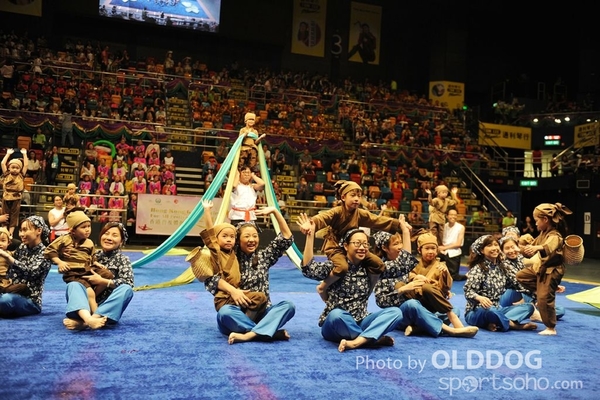 Gymnastics (338)
