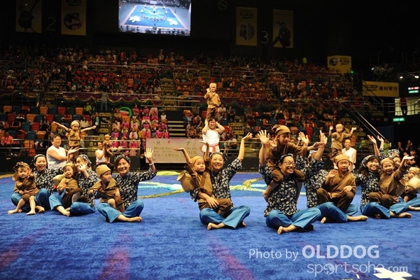 Gymnastics (339)