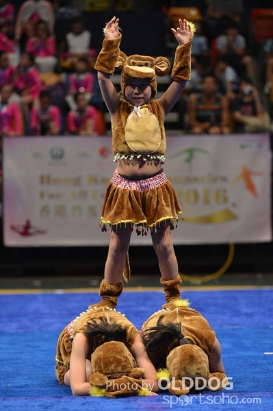 Gymnastics (343)