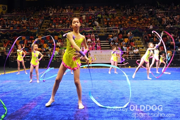 Gymnastics (346)