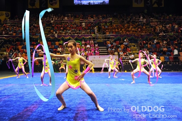 Gymnastics (347)