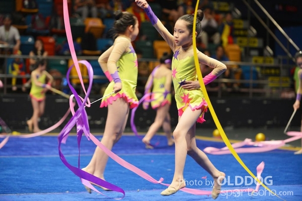 Gymnastics (349)