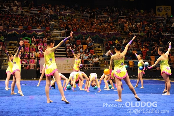 Gymnastics (352)