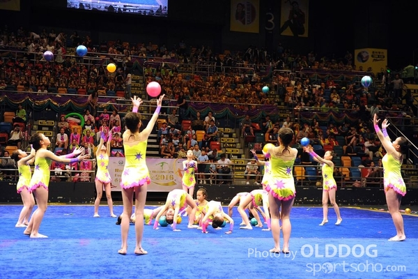 Gymnastics (353)
