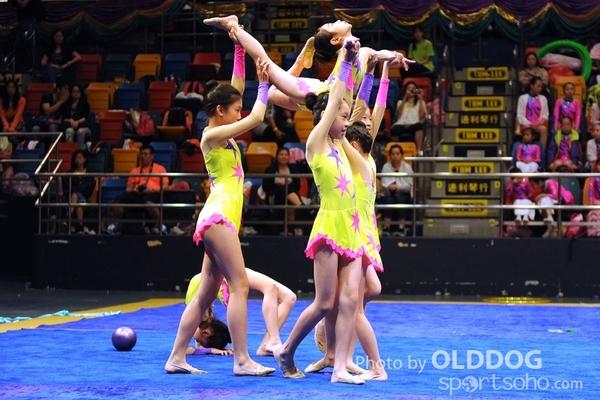 Gymnastics (354)