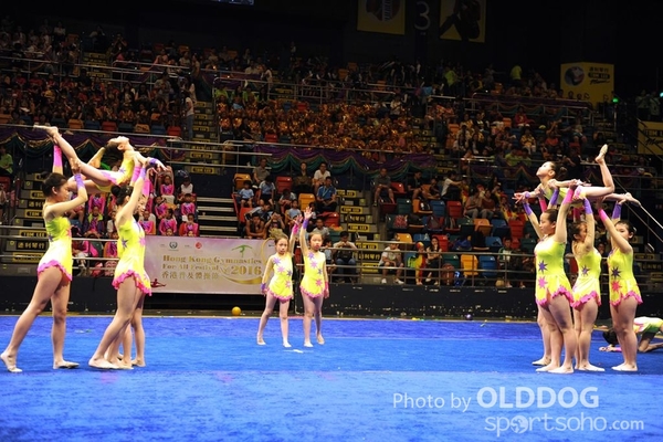 Gymnastics (355)