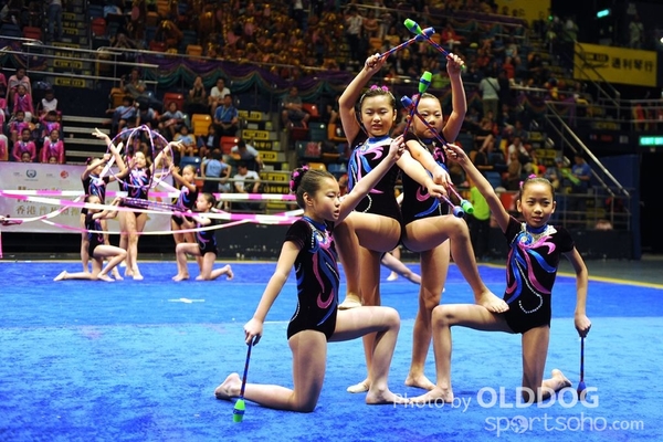 Gymnastics (356)
