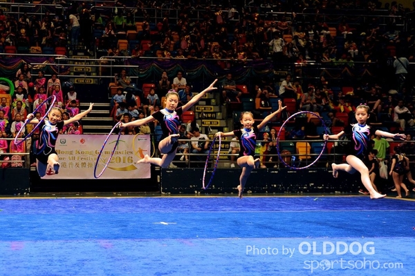 Gymnastics (357)