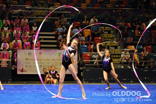 Gymnastics (358)