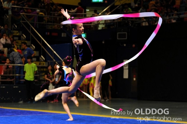 Gymnastics (359)