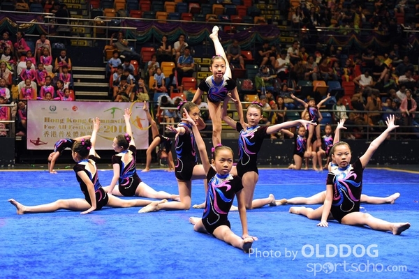 Gymnastics (362)