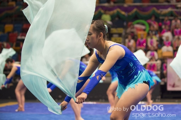 Gymnastics (365)