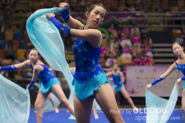 Gymnastics (366)