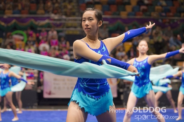 Gymnastics (367)