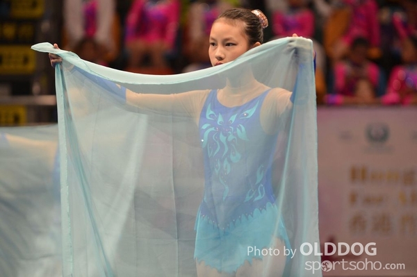 Gymnastics (368)