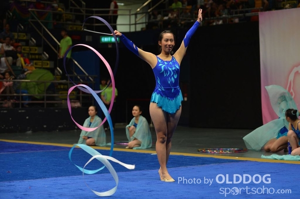 Gymnastics (371)