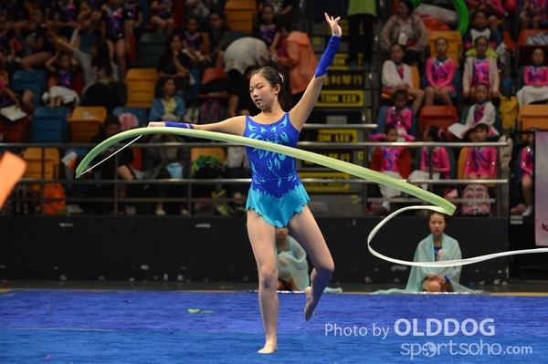 Gymnastics (373)