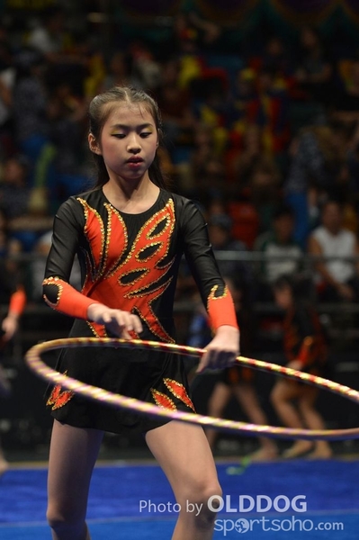 Gymnastics (375)