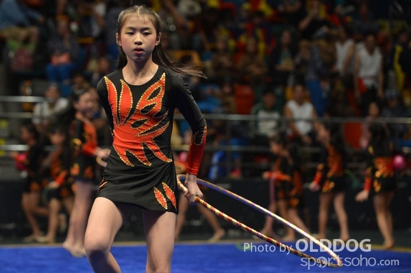 Gymnastics (376)