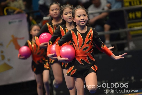 Gymnastics (379)