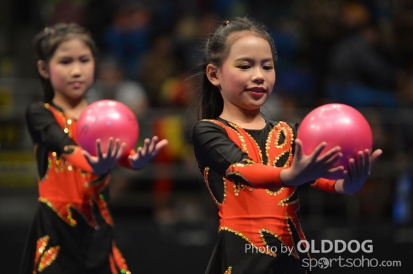 Gymnastics (380)