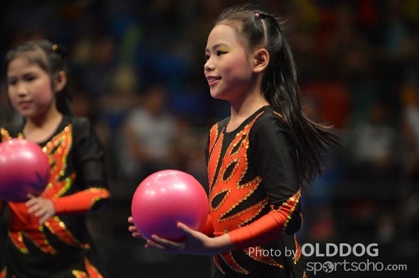 Gymnastics (381)