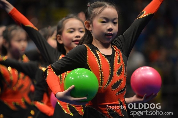 Gymnastics (382)