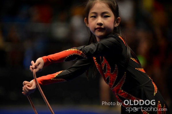 Gymnastics (384)