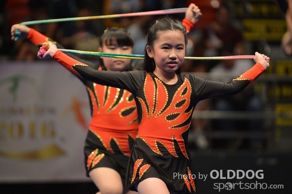 Gymnastics (385)