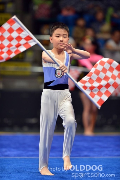 Gymnastics (388)