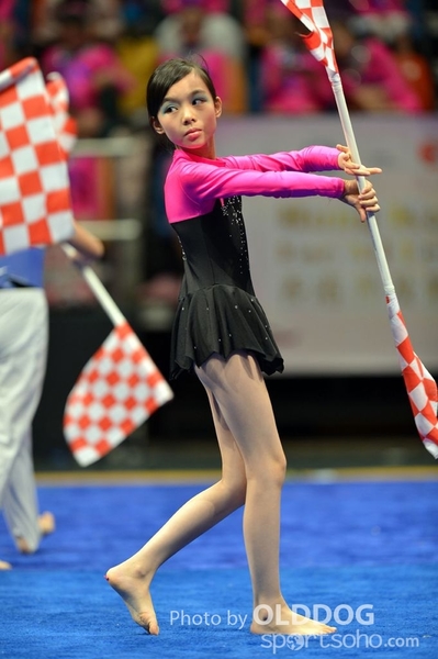 Gymnastics (389)
