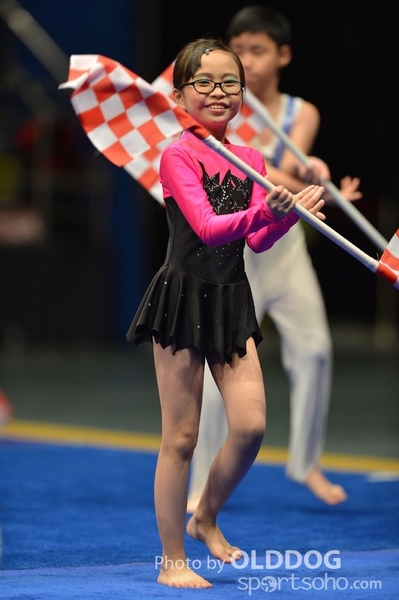 Gymnastics (390)