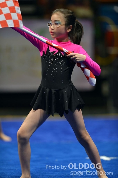 Gymnastics (391)