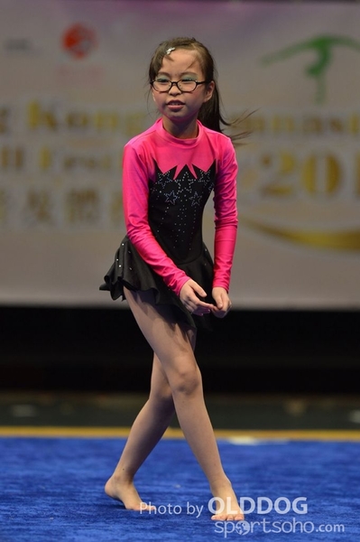 Gymnastics (392)