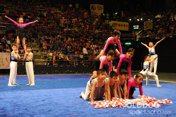 Gymnastics (393)