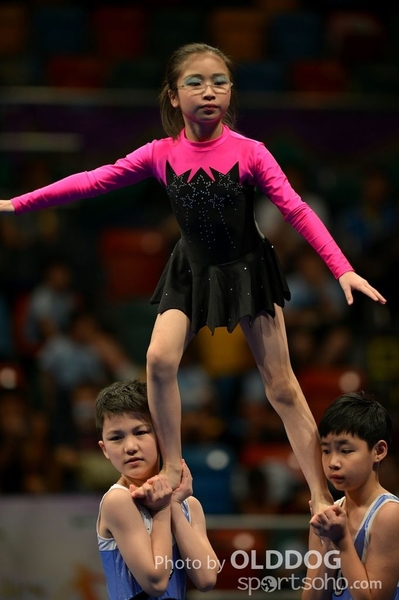 Gymnastics (394)