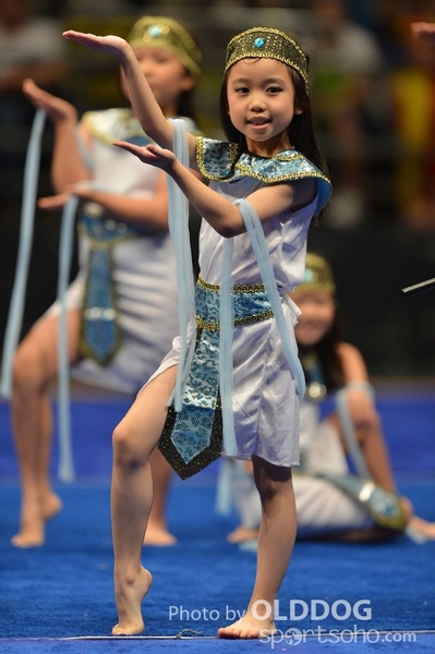 Gymnastics (396)