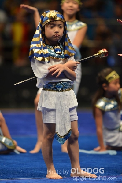 Gymnastics (397)