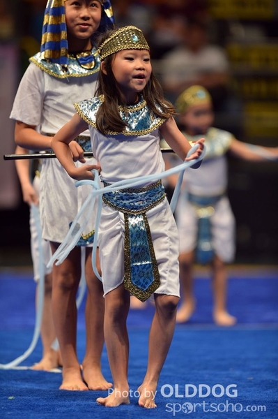 Gymnastics (401)