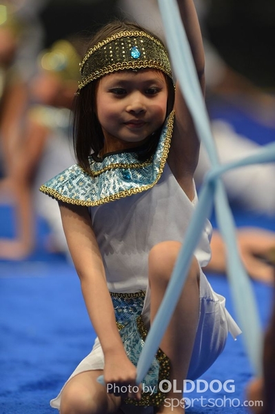 Gymnastics (409)
