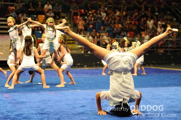 Gymnastics (410)