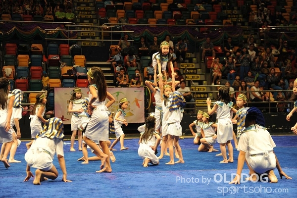 Gymnastics (411)