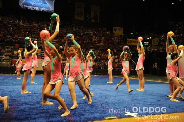 Gymnastics (419)