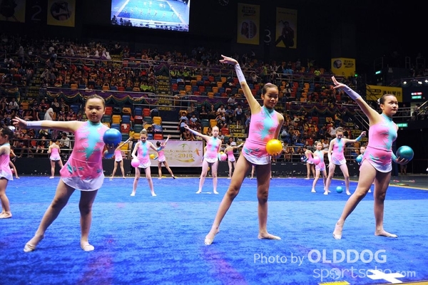 Gymnastics (421)
