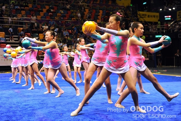 Gymnastics (423)