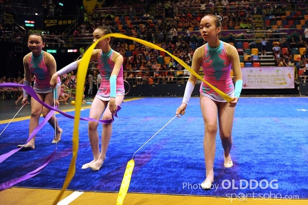 Gymnastics (424)