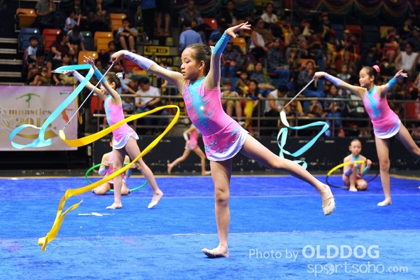 Gymnastics (427)