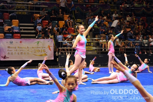 Gymnastics (430)
