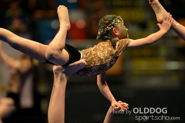 Gymnastics (629)
